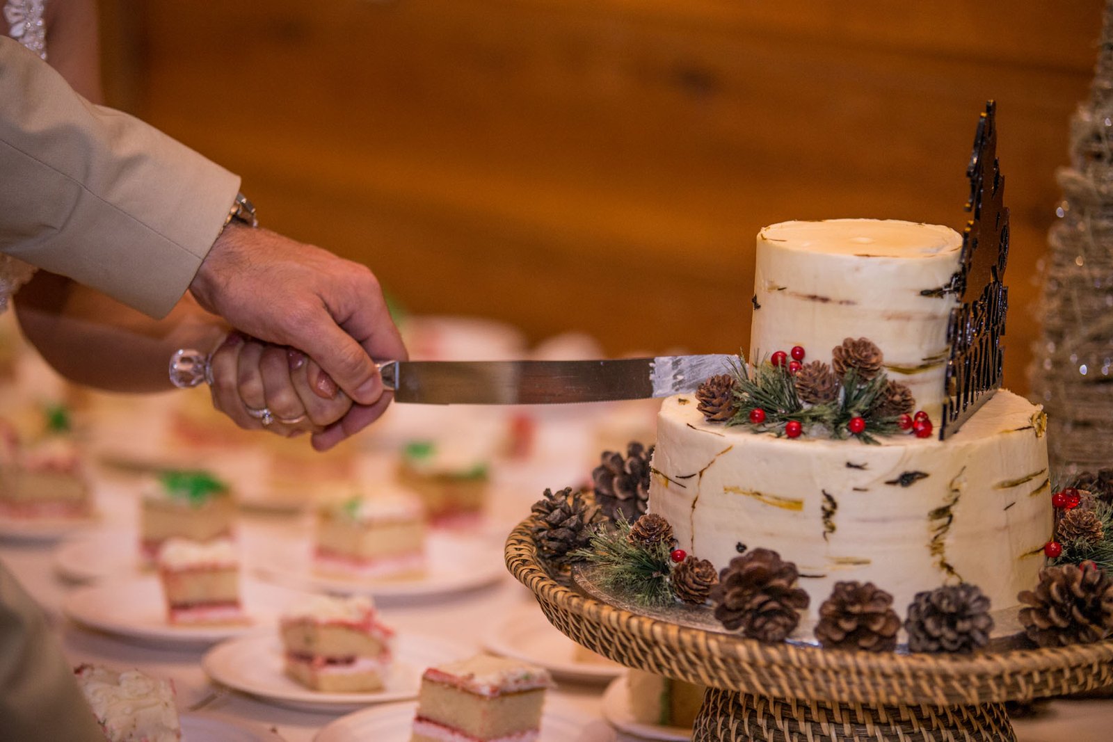 Cake Cutting Tellastory Photography