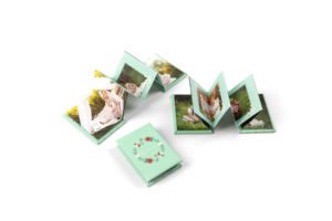 Mini book